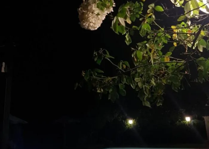 Ca'melia Villa Sarzana